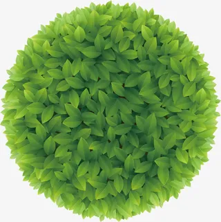 绿色树叶开学补给站免抠