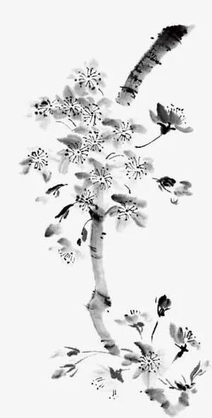 水墨风梅花免抠