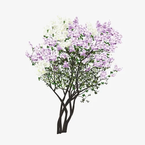 手绘浪漫唯美紫丁香树插画免抠免抠