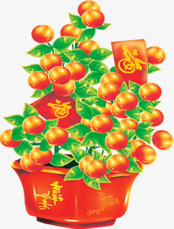新年橘子树装饰免抠图片免抠
