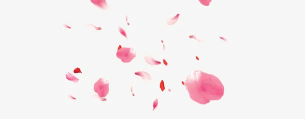漂浮花瓣免抠
