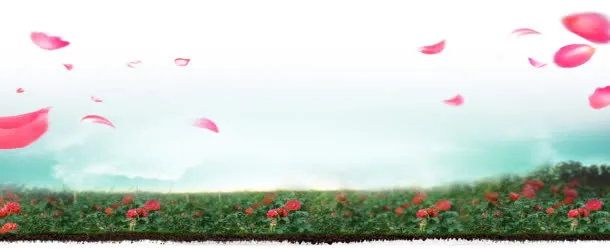 红色花瓣漫天飞宽屏免抠