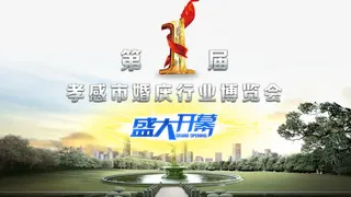 婚博会海报免抠