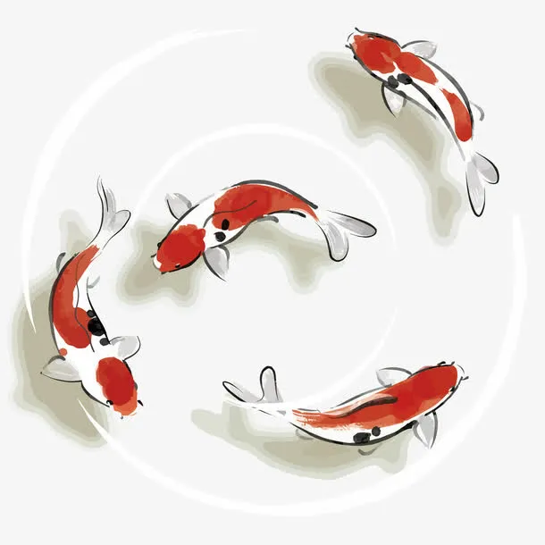 矢量锦鲤免抠