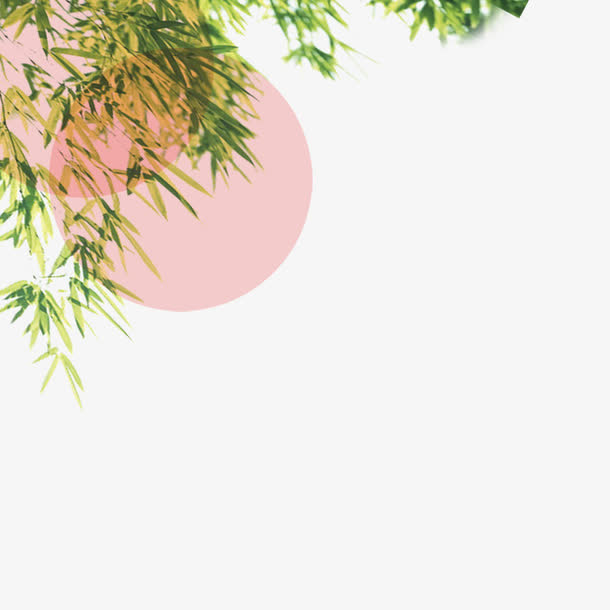 青天明月免抠