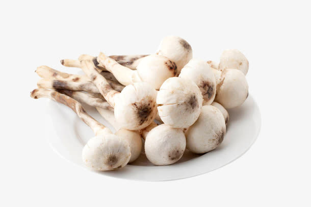 中式美食凉菜熟食鸡枞菌免抠