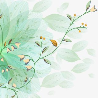 夏季绿色边框免抠