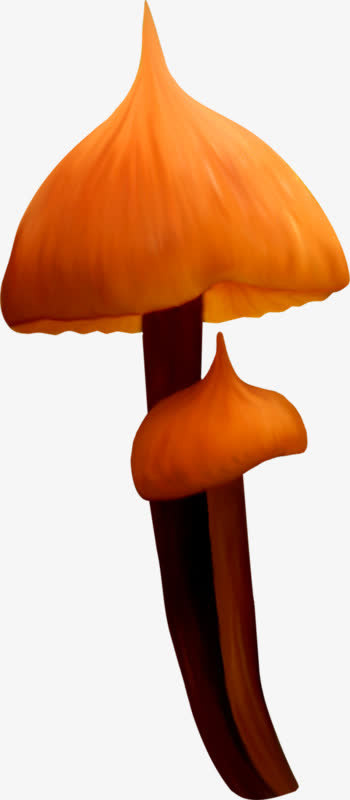 尖头蘑菇伞免抠