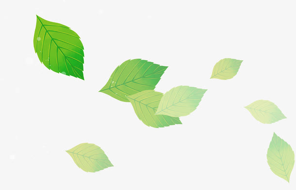 绿色透明树叶免抠