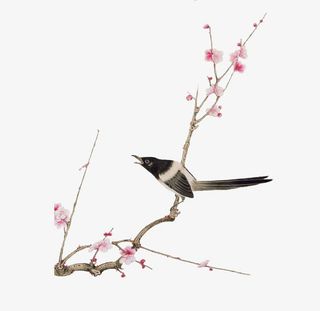 枝上花鸟免抠