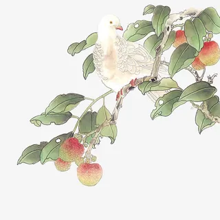 水彩古风白鸽绿叶免抠