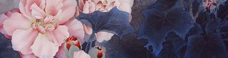 工笔画花朵 背景图 淘宝 banner高清