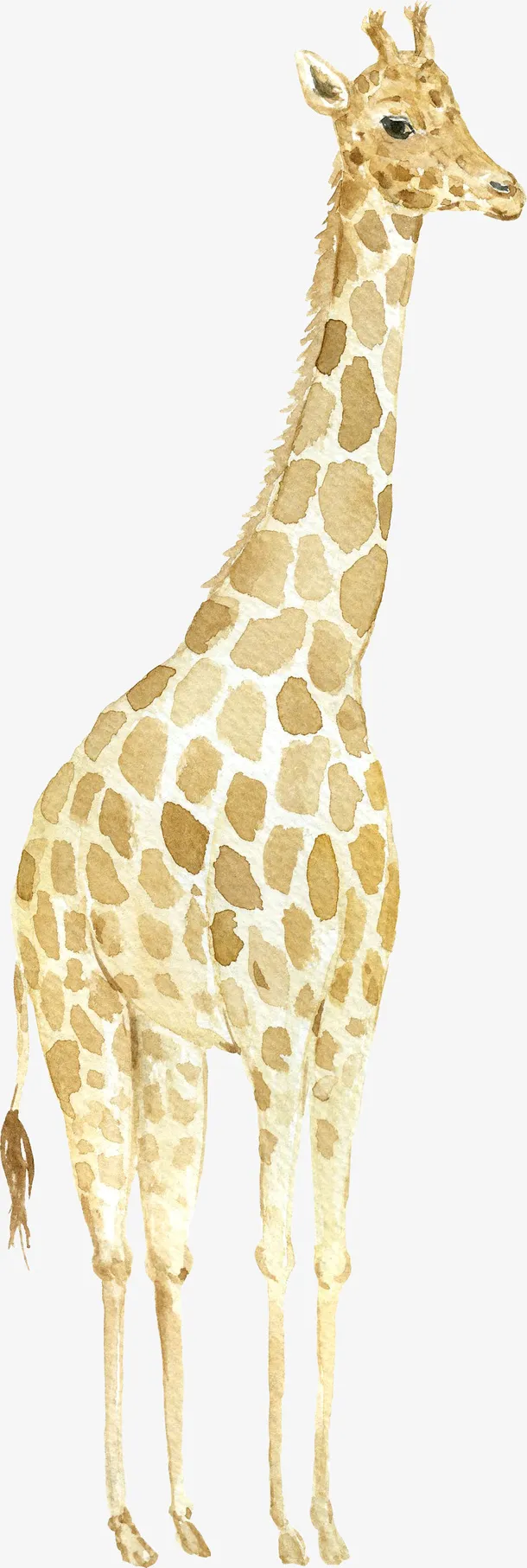 手绘长颈鹿2免抠