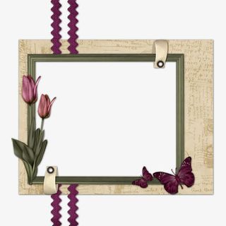卡通相框素材  花朵蝴蝶相框免抠
