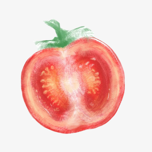 西红柿切片手绘画素材图片免抠
