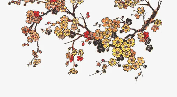 美丽的花朵免抠