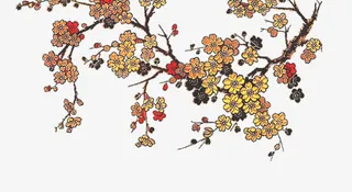 美丽的花朵免抠