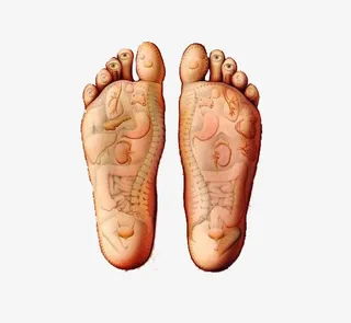 脚部分析图免抠