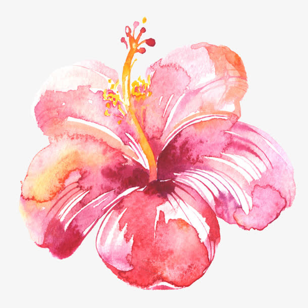 水彩花卉红色花朵植物免抠