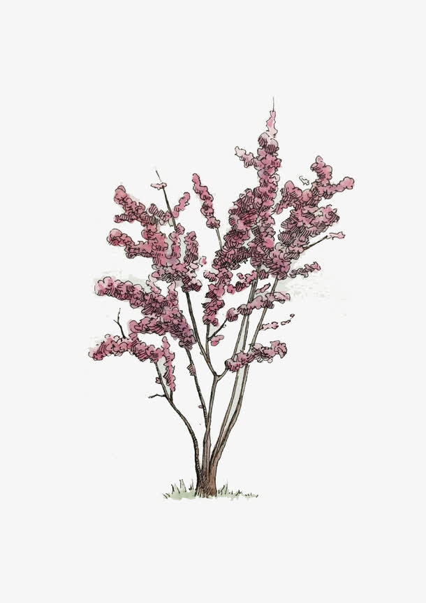 手绘梅花树免抠素材免抠
