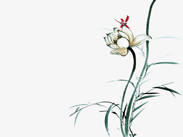水墨荷花免抠