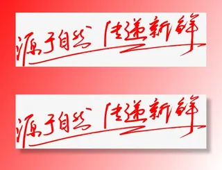 源于自然传递新鲜字体免抠字体元素