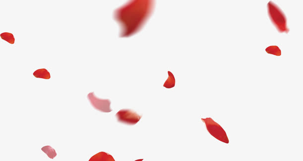 花瓣免抠