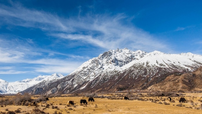 风景,背景,png,素材高清