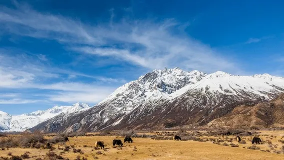风景,背景,png,素材高清
