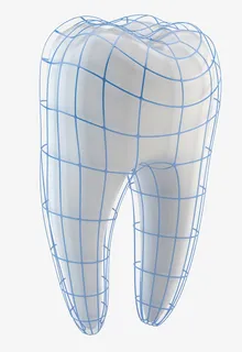 牙齿模型免抠