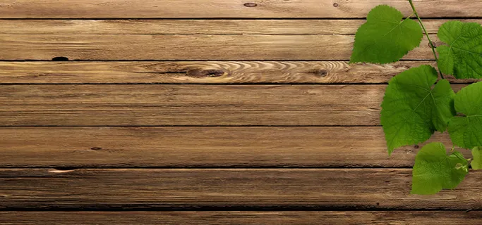 木纹绿叶背景高清