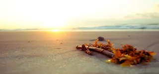 唯美清新日出海景背景高清