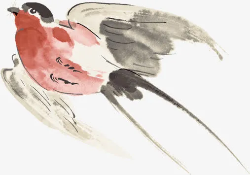 燕子免抠