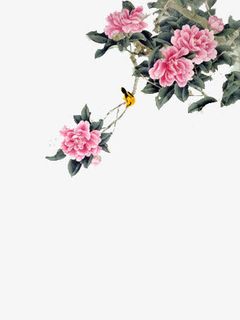 花鸟图免抠