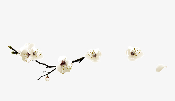白色中国风花枝装饰图案免抠