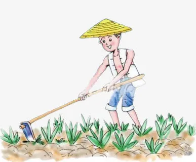 农民伯伯除草图免抠