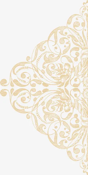金色花边纹理装饰图免抠