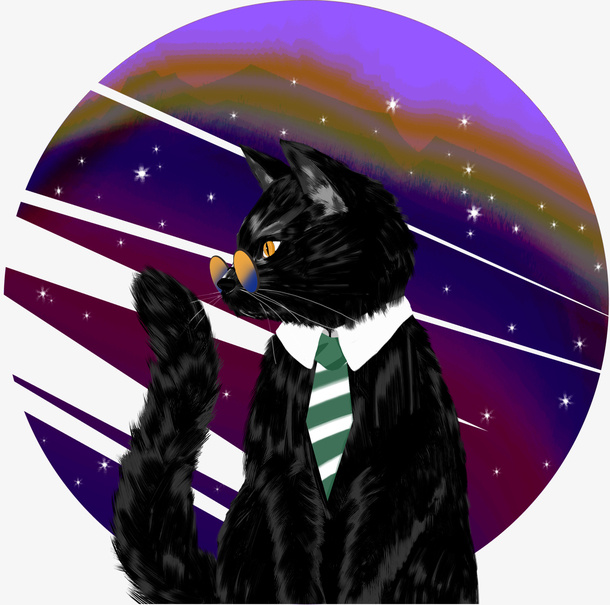 掌握宇宙的黑猫免抠