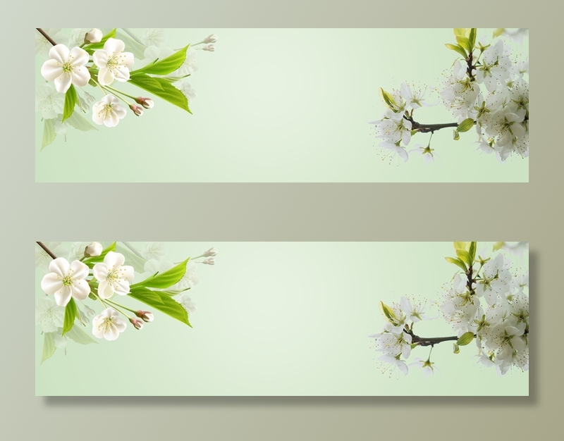 中国风春天banner背景图高清