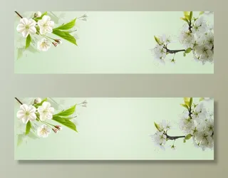 中国风春天banner背景图高清