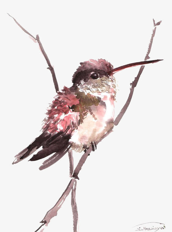 手绘小鸟免抠