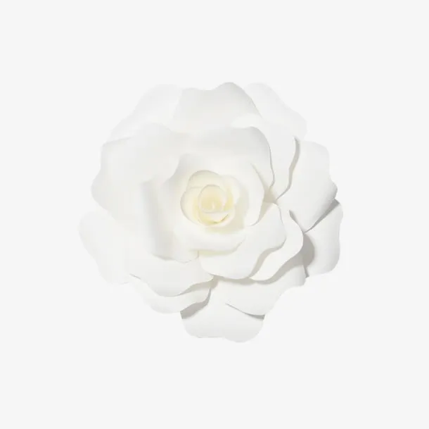 白色花朵免抠