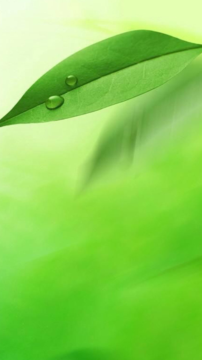 树叶上的水珠H5素材背景高清