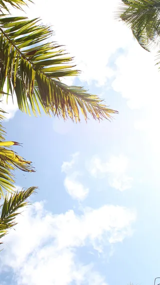 浪漫度假风景H5背景高清