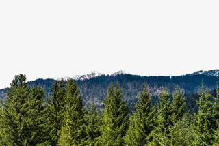 唯美雪山湖泊景色免抠