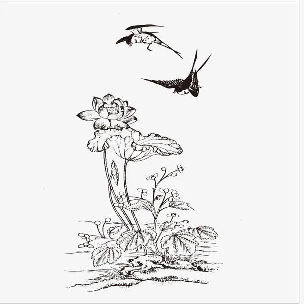 荷花上的小燕子免抠