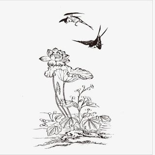 荷花上的小燕子免抠