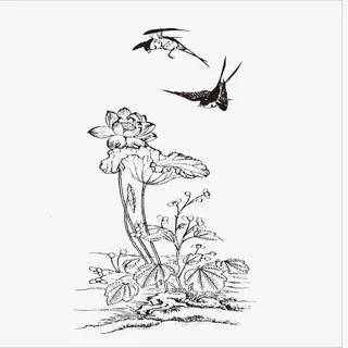 荷花上的小燕子免抠