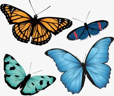 矢量手绘4只彩色蝴蝶免抠