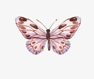 白色底豆沙色手绘蝴蝶翅膀免抠